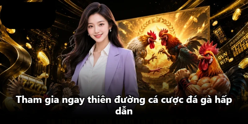 Tham gia ngay thiên đường cá cược đá gà hấp dẫn