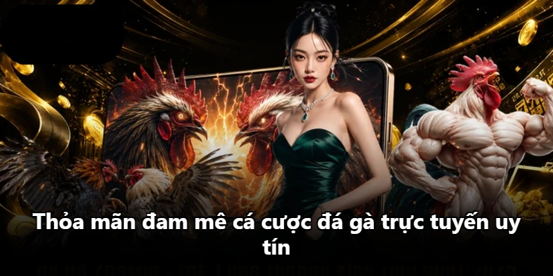 Thỏa mãn đam mê cá cược đá gà trực tuyến uy tín